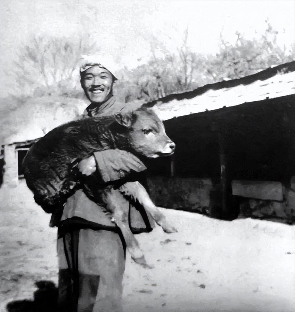 轮椅上的巨人史铁生：21岁瘫痪，47岁尿毒症，临死9小时前捐遗体(图4)