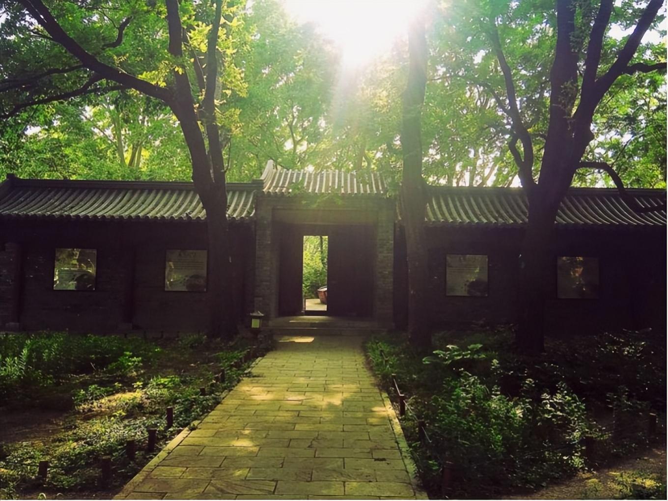 轮椅上的巨人史铁生：21岁瘫痪，47岁尿毒症，临死9小时前捐遗体(图10)