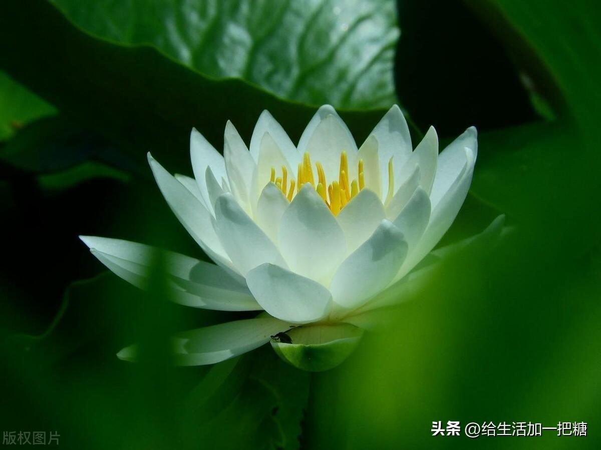 充满魅力的人生感悟短句，句句触动人心，推荐阅读！(图3)