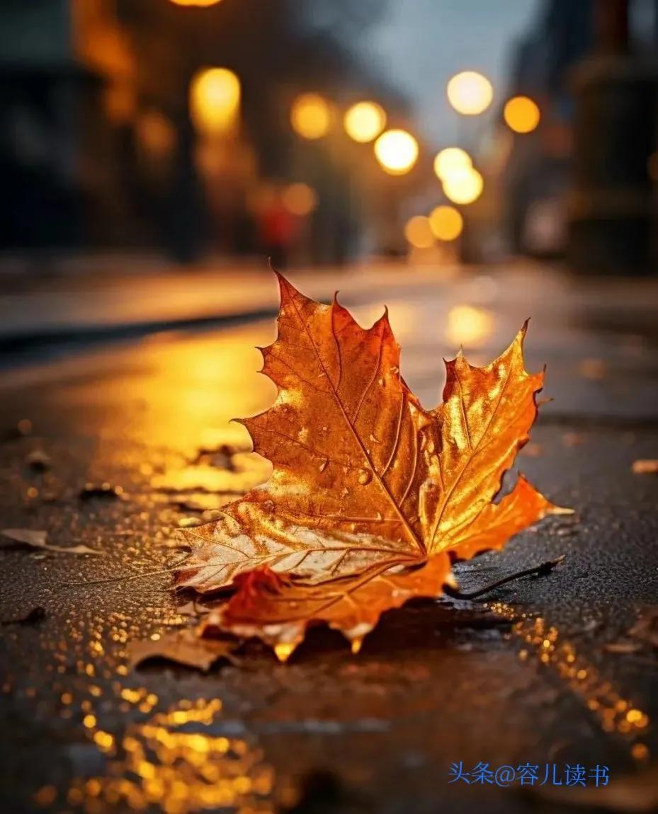 人生中感悟最深的二十四句金玉良言:(图2)