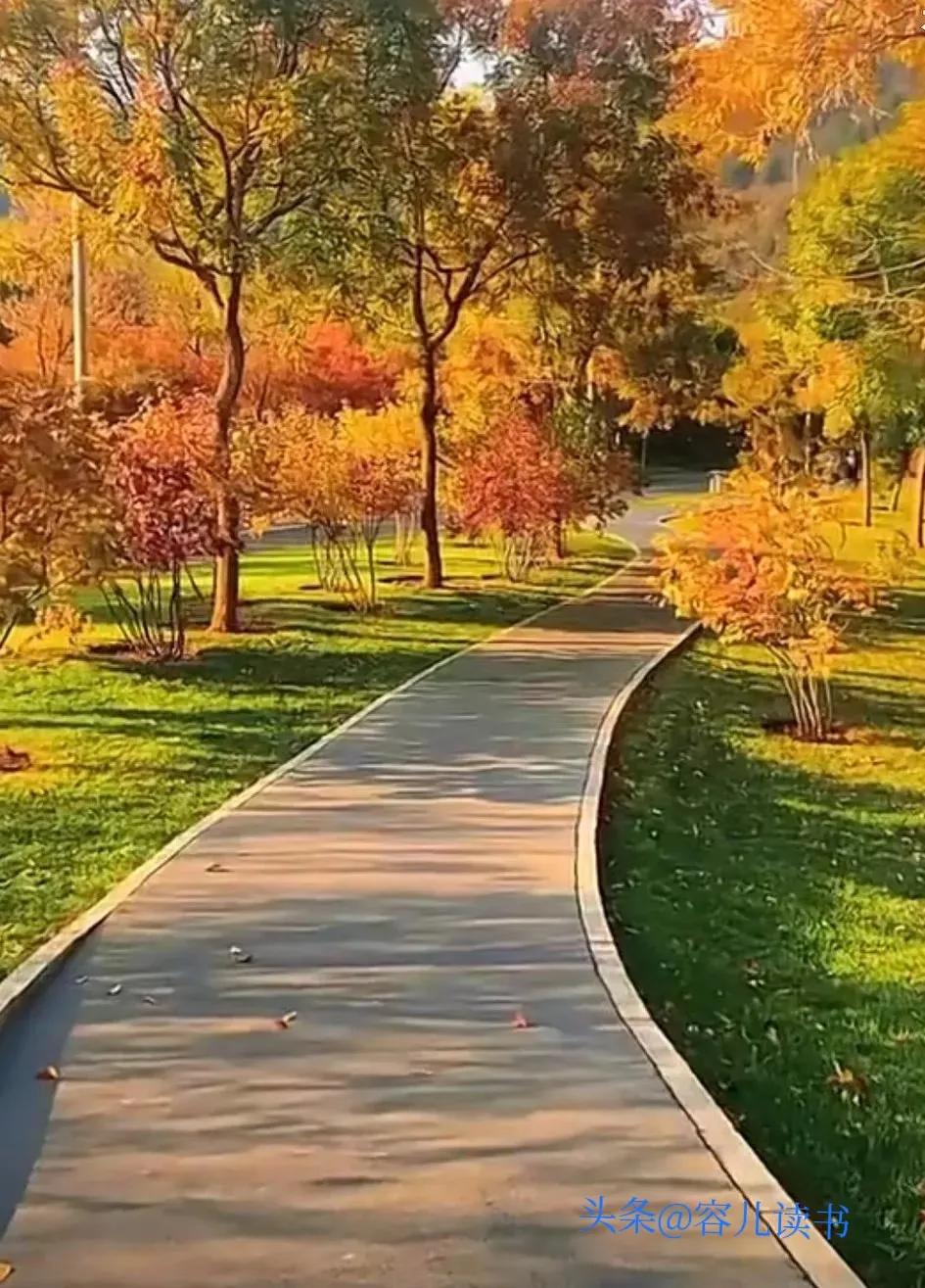 人生中感悟最深的二十四句金玉良言:(图3)