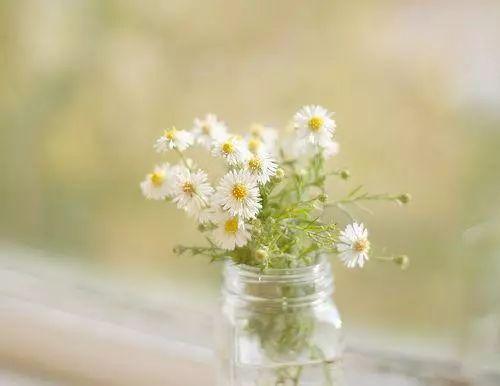 适合发说说的哲理短句：得意时要看淡，失意时要看开(图2)