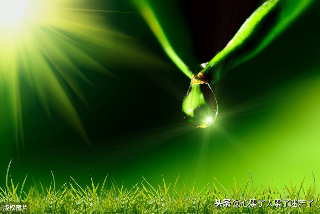 感悟人生经典说说，得意时要看淡，失意时要看开(图2)