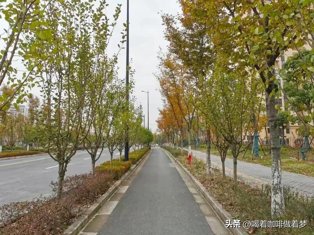 助他人，即为助己，低调的人情(图2)