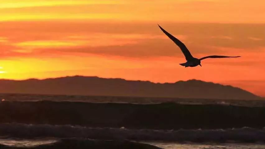 记住5句名言 提高学习实效——伍歌梦百书想百岁(172)(图1)