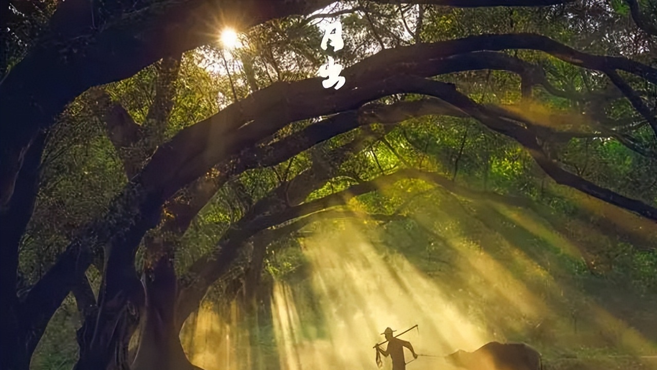 记住5句名言 提高学习实效——伍歌梦百书想百岁(172)(图3)