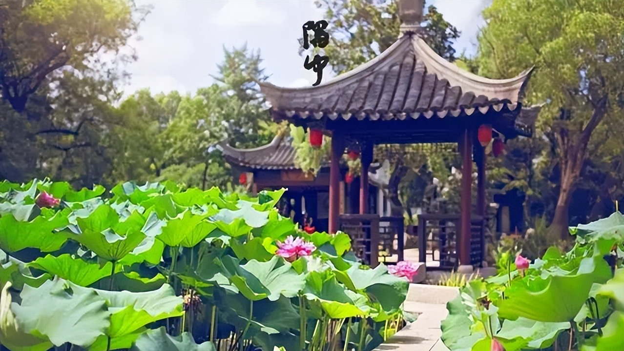 记住5句名言 提高学习实效——伍歌梦百书想百岁(172)(图5)