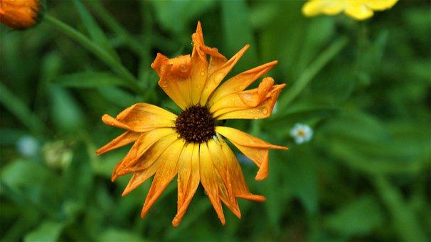 人生应多行善事，帮人就等于帮自己(图3)