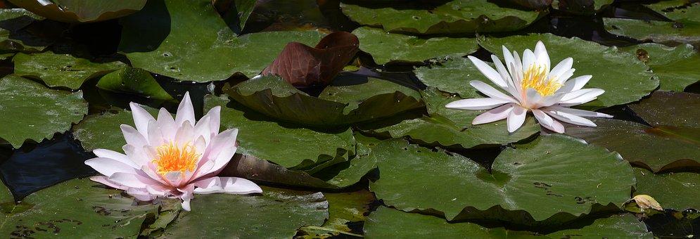 人生应多行善事，帮人就等于帮自己(图4)