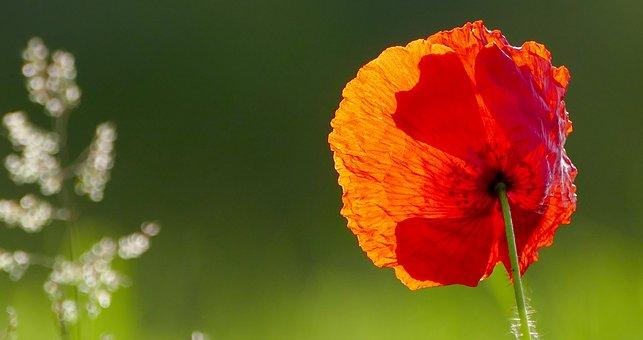 人生应多行善事，帮人就等于帮自己(图5)