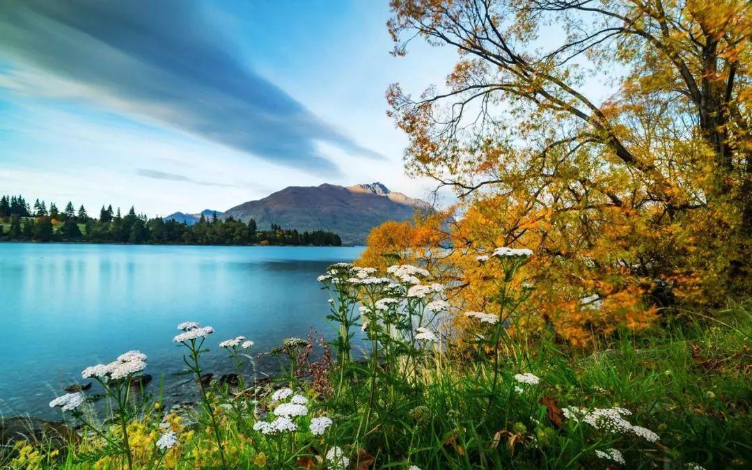 漫天璀璨，星光点点，探寻星星的20段美妙旅程(图2)