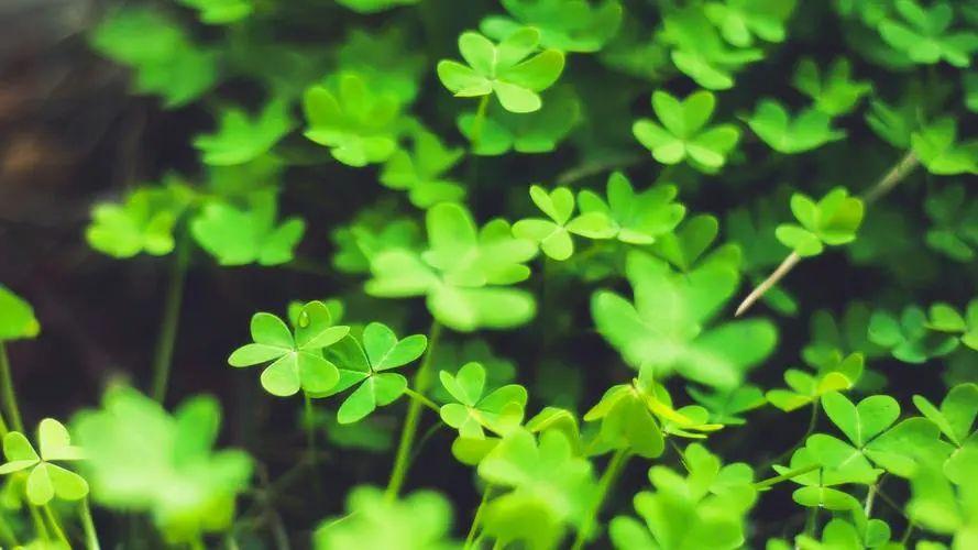 漫天璀璨，星光点点，探寻星星的20段美妙旅程(图5)