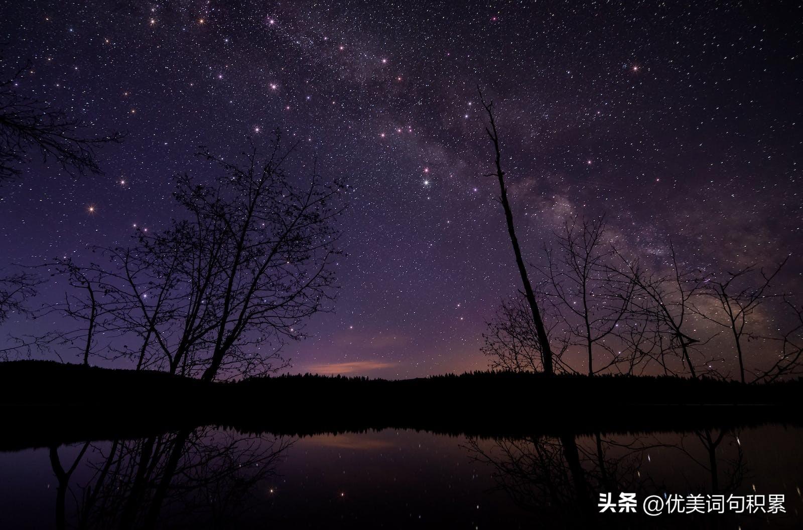 星 优美段落摘抄(19)(图6)