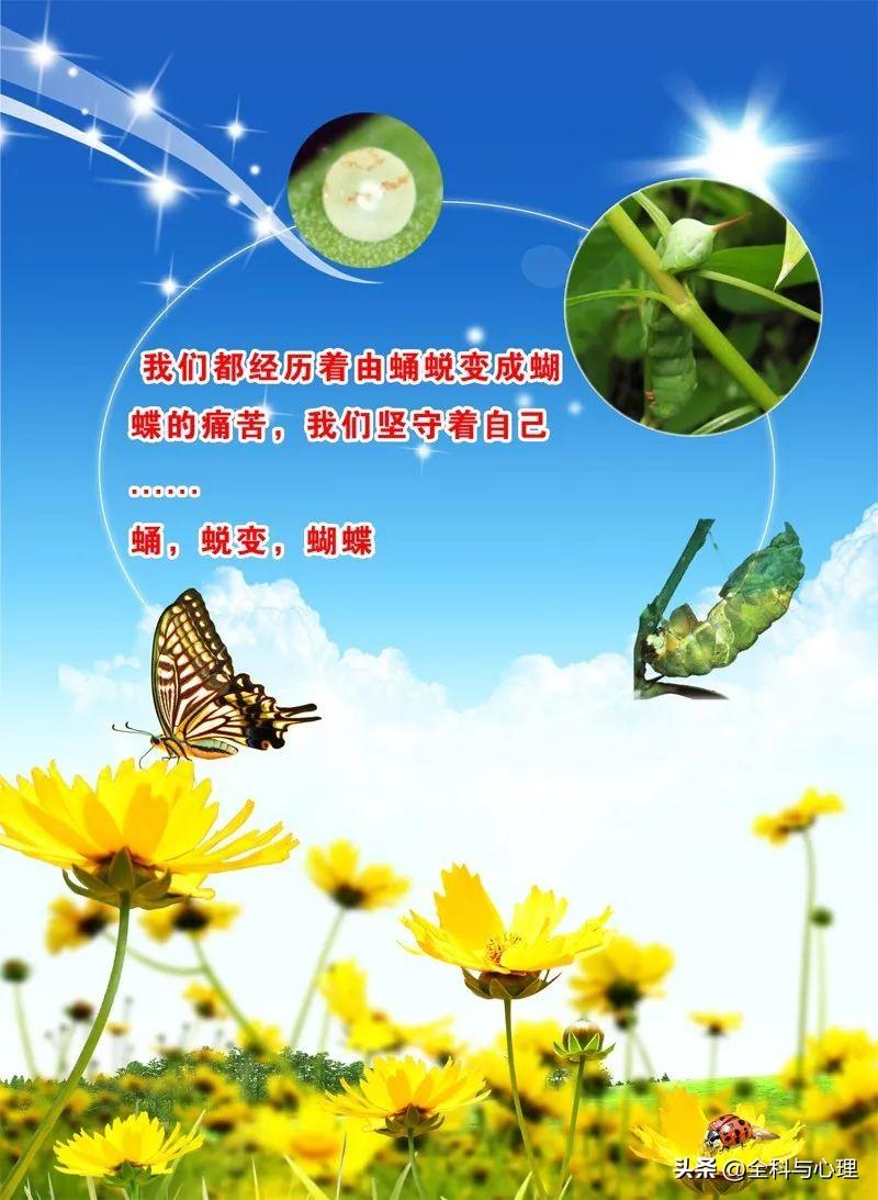 励志名言警句 励志名言名句大全(图8)