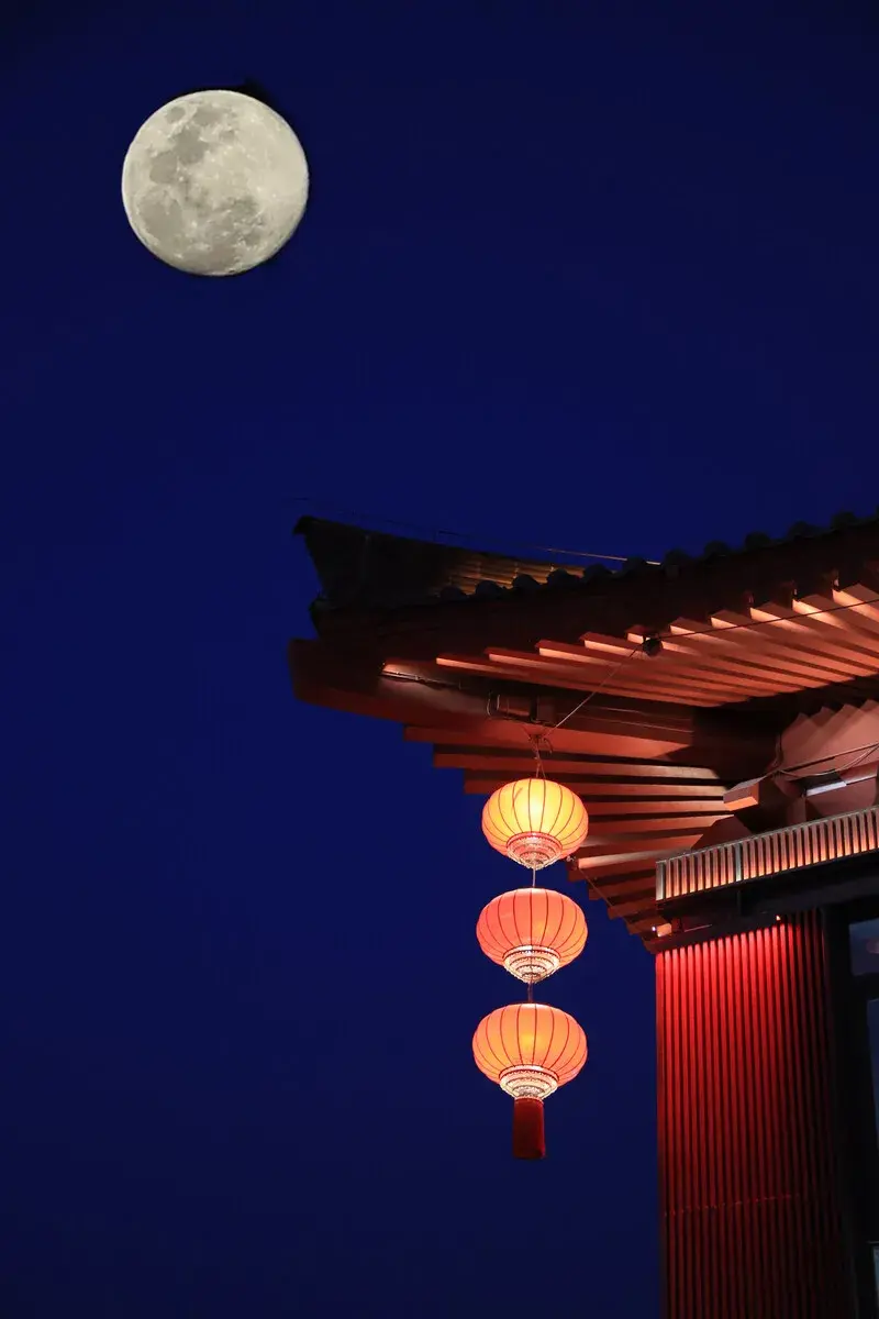 《古诗十九首》里的那些唯美诗句，每一句都值得细细品味(图4)