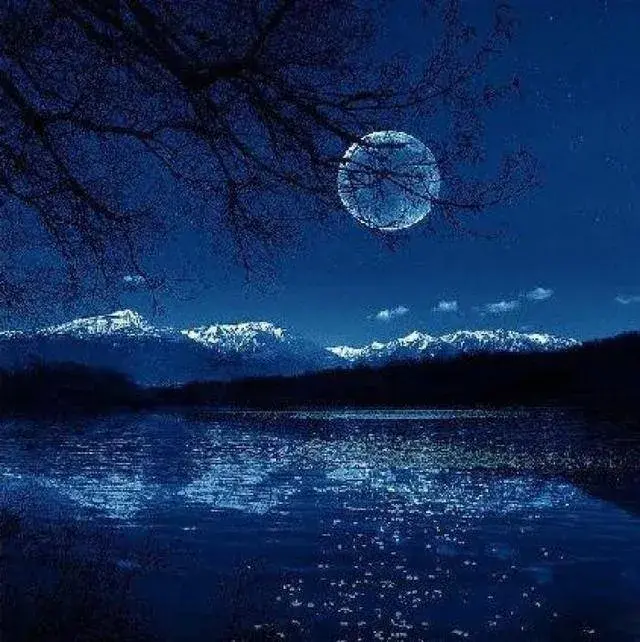 《古诗十九首》里的那些唯美诗句，每一句都值得细细品味(图6)