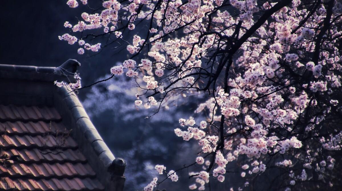 意境优美的古诗句(图1)