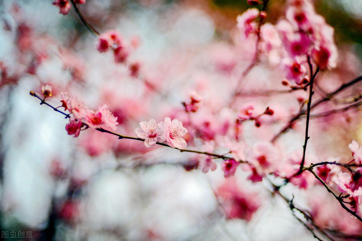 意境优美的古诗句(图2)