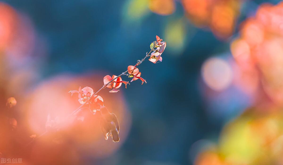 意境优美的古诗句(图3)