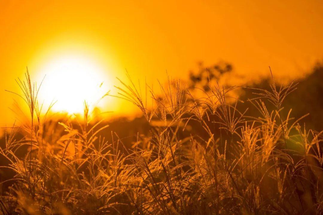 30句意境绝美诗词，句句温柔，美哭了(图3)