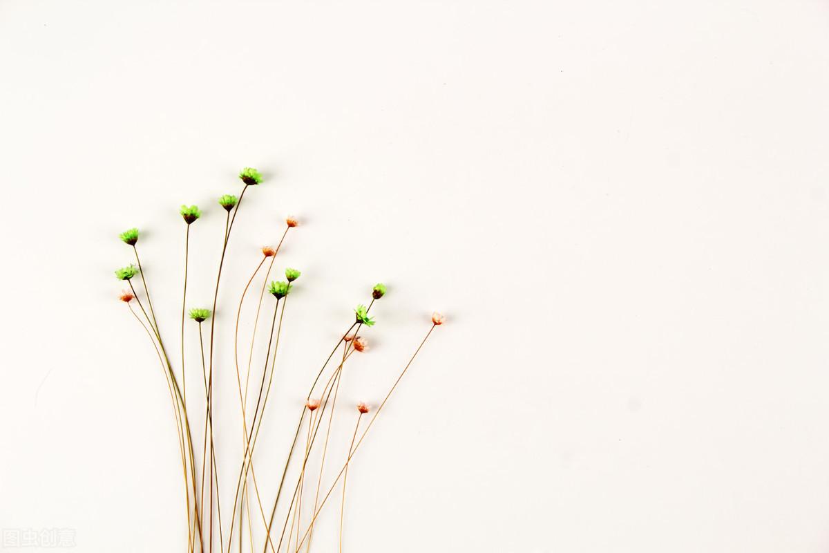 「素材推介」成长五句话(图1)