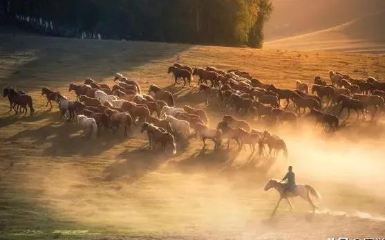 努力沉淀自我，在低谷中韬光养晦，涅槃重生(图2)