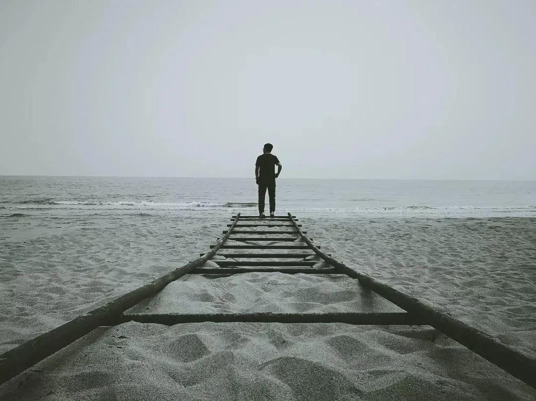 努力沉淀自我，在低谷中韬光养晦，涅槃重生(图4)