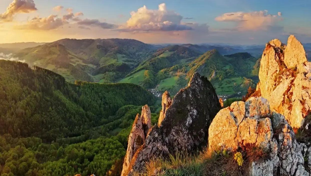 努力沉淀自我，在低谷中韬光养晦，涅槃重生(图5)