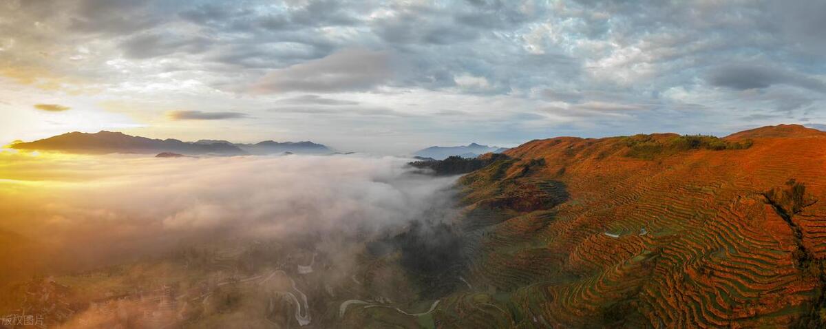 季羡林10句哲理名言，读完收获大(图2)