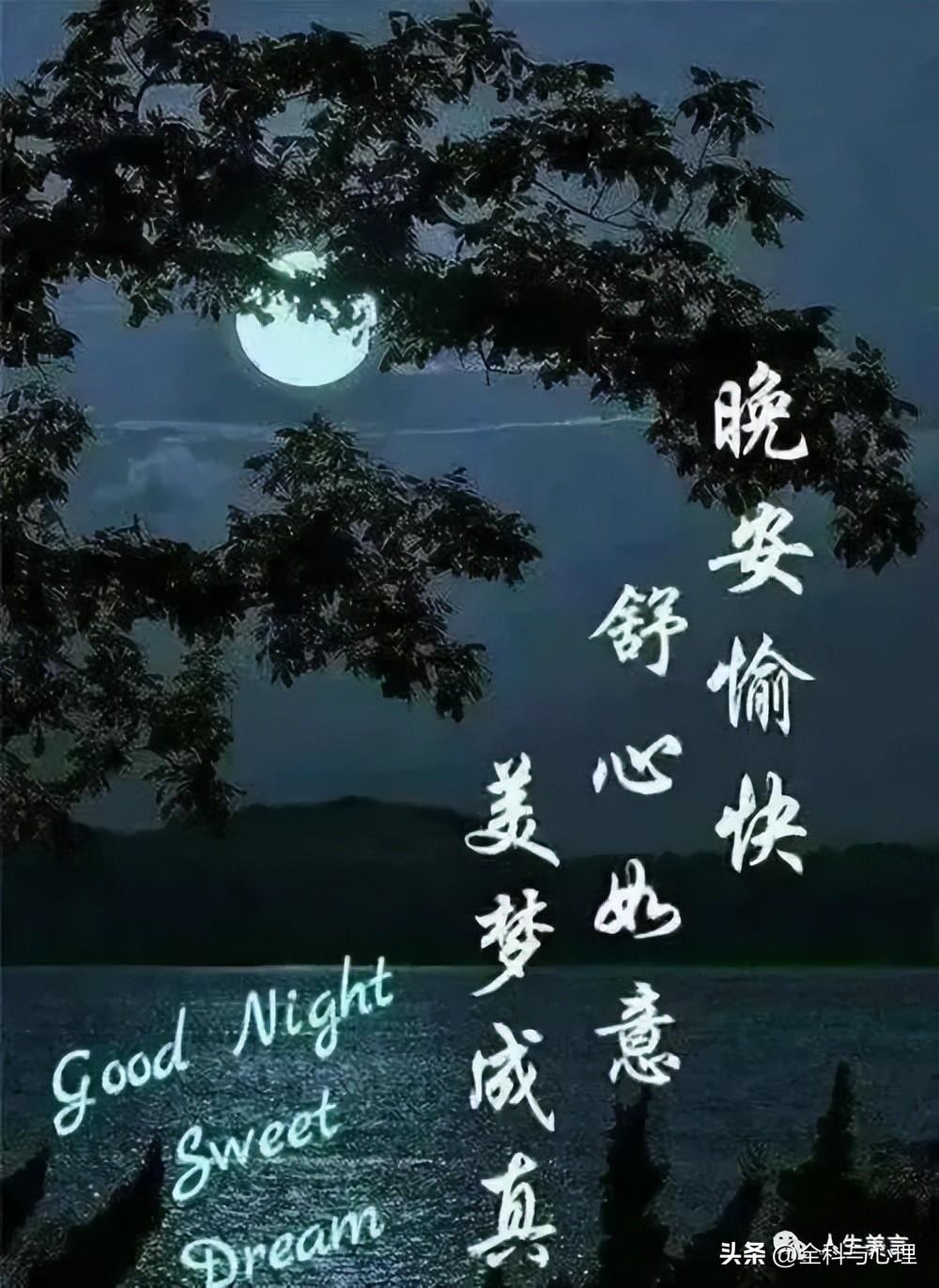 晚安美好的祝福语，晚上好问候短句子(图5)