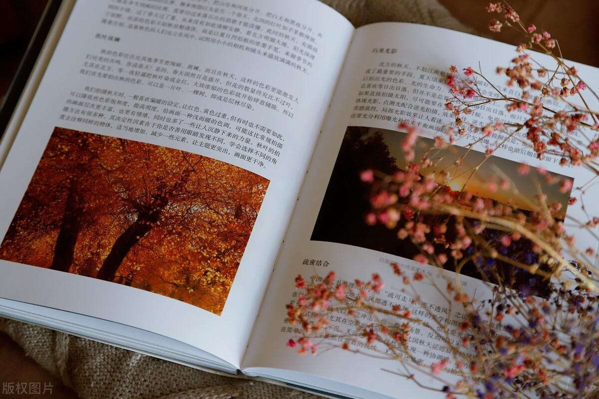 走心文案高质量的短句（关于情感的文案短句）(图3)