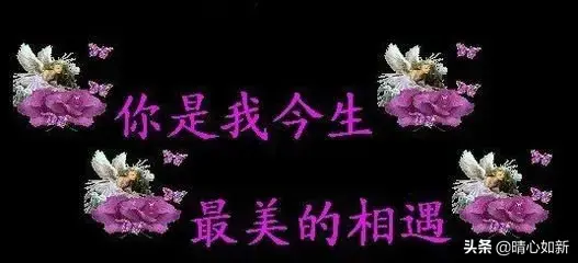 真情独白，唯美极致(图1)