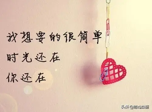 真情独白，唯美极致(图3)