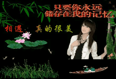 真情独白，唯美极致(图4)