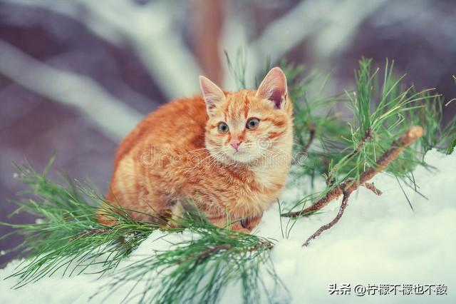 天冷心暖，愿你安然度寒冬：朋友圈温馨问候语(图2)