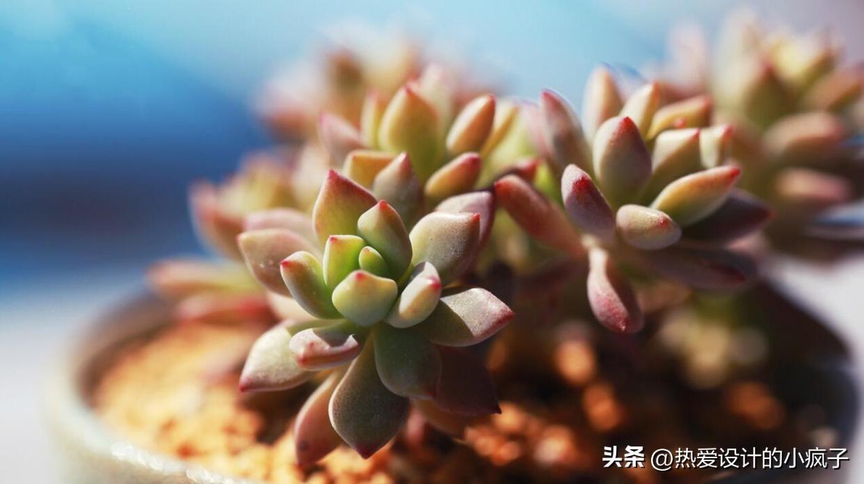 心情语录 / 大胆做自己，勿盲从(图2)