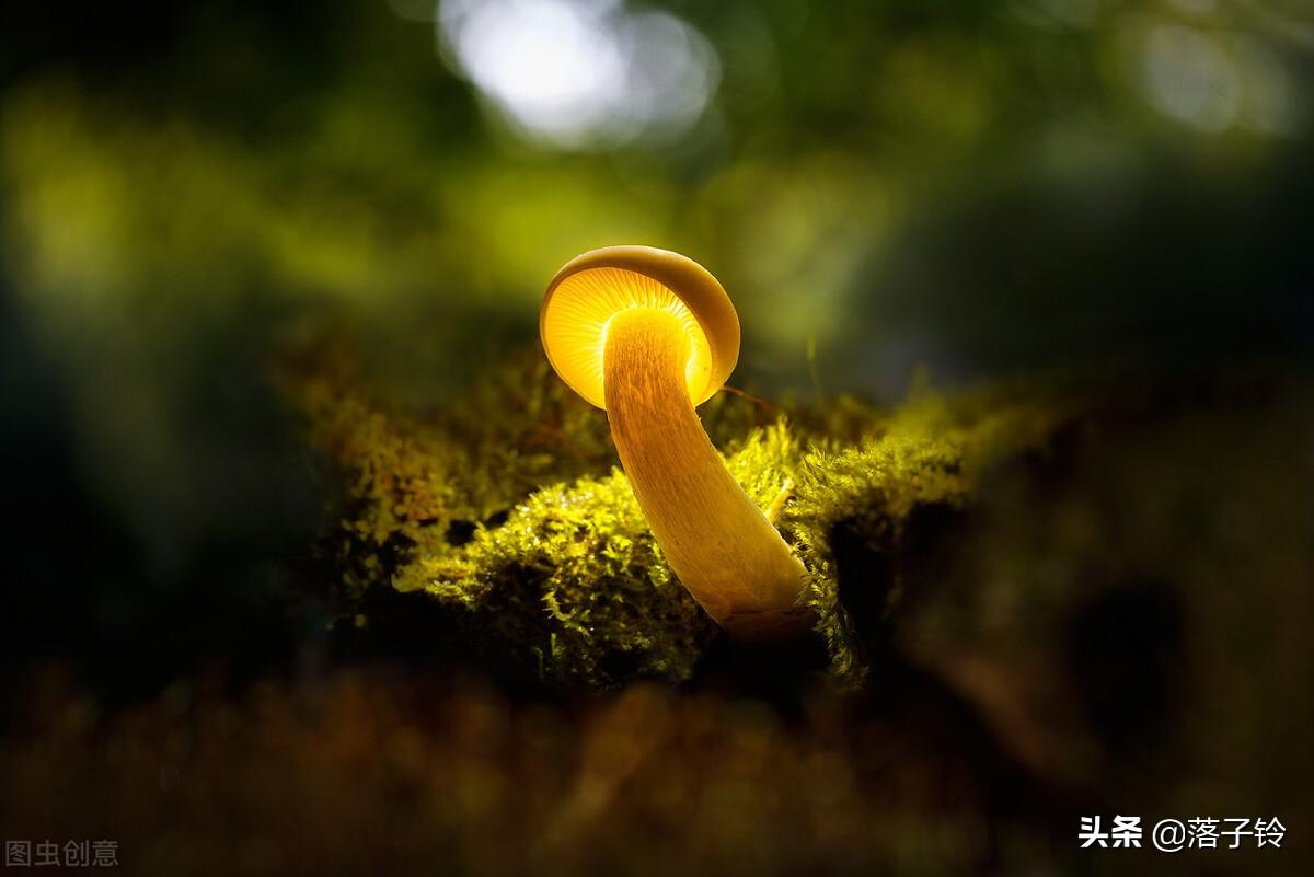 不要盲目跟风，任何时候都要有主见(图3)