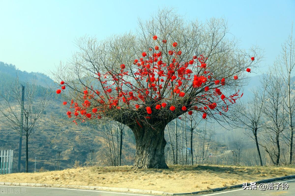 不要盲目跟风，任何时候都要有主见(图6)
