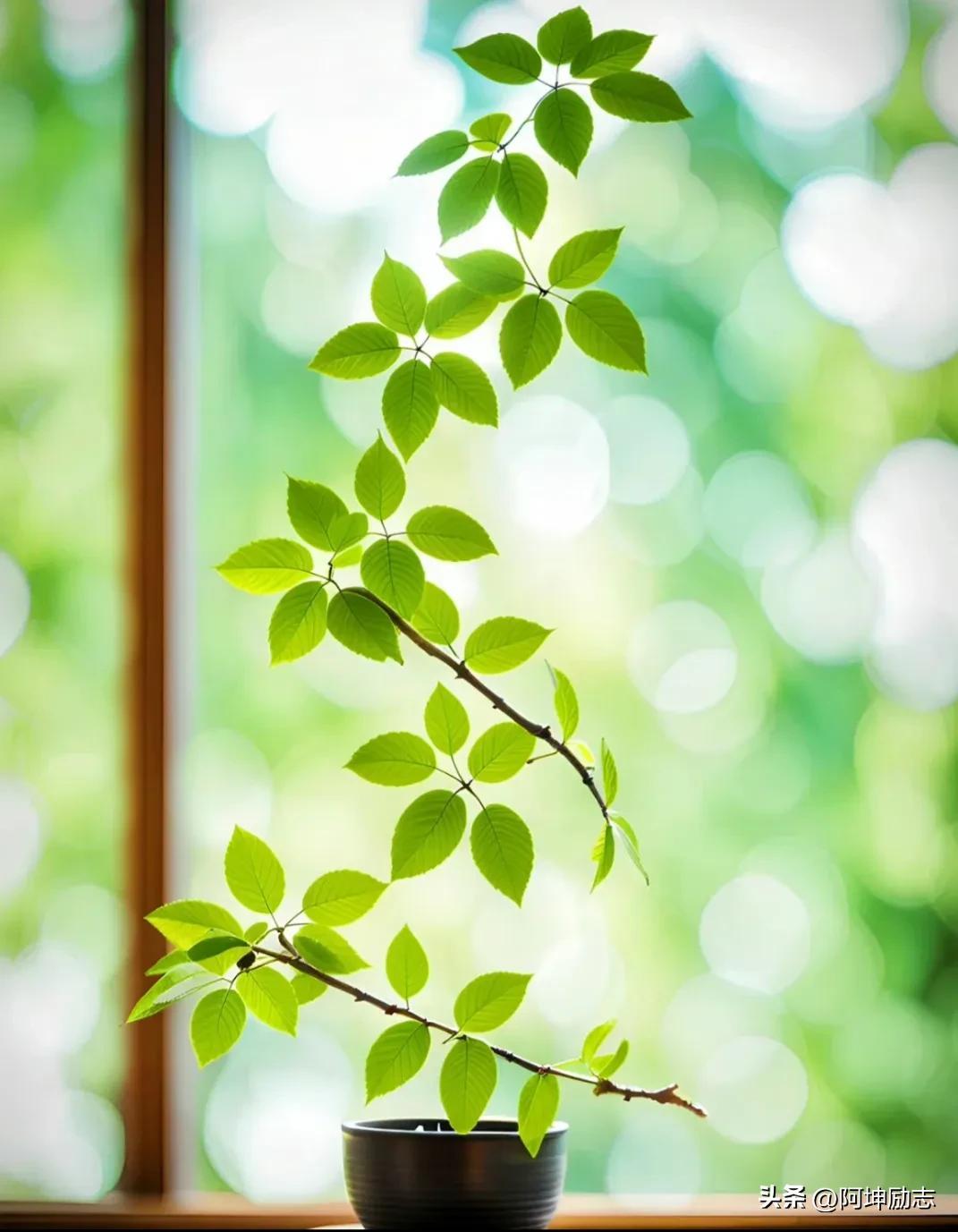 少一份冷漠，多一份真诚(经典)(图2)