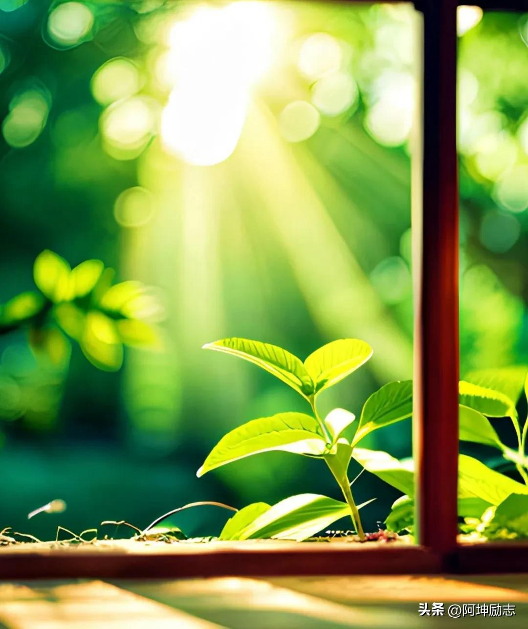 少一份冷漠，多一份真诚(经典)(图4)