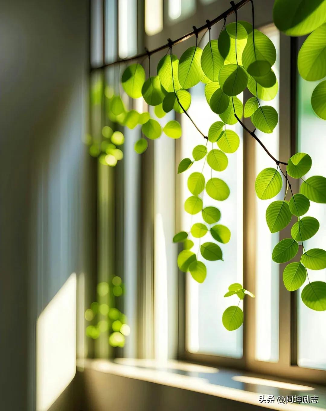 少一份冷漠，多一份真诚(经典)(图5)