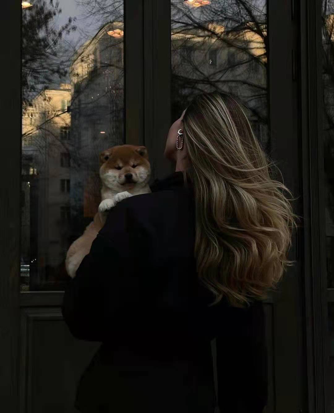 那些隐晦的表白｜|我只要你，我只要你一个完整的朝夕(图5)