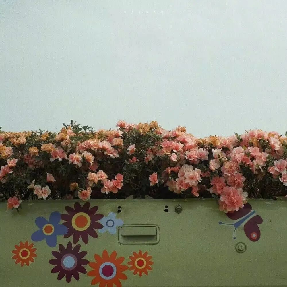 文案 “又狠又野的辣妹必备文案”(图2)