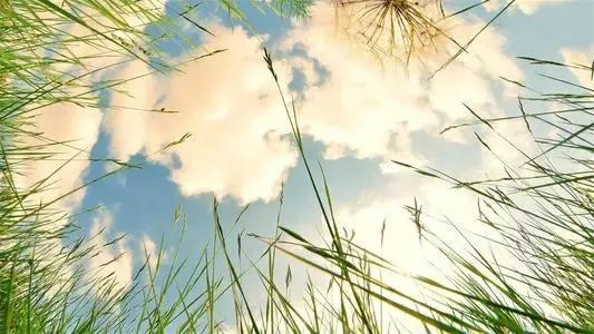 可以给孩子看的励志小故事(图1)