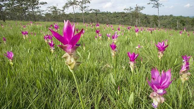 24首三行情诗：适合发朋友圈，为你的人气加点古风韵味(图3)