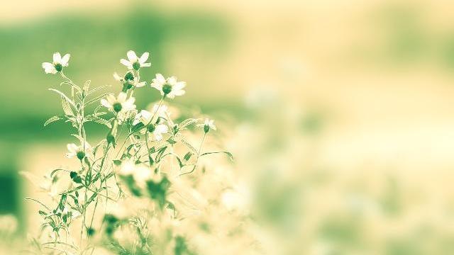 24首三行情诗：适合发朋友圈，为你的人气加点古风韵味(图4)