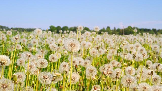 24首三行情诗：适合发朋友圈，为你的人气加点古风韵味(图6)