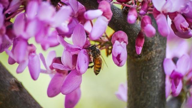 24首三行情诗：适合发朋友圈，为你的人气加点古风韵味(图10)