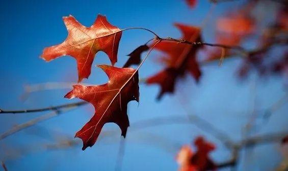 10条经典的阳光句子，相信自己，终能破茧成蝶！(图1)