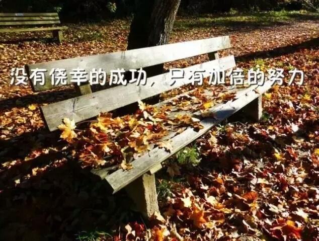 10条经典的阳光句子，相信自己，终能破茧成蝶！(图2)